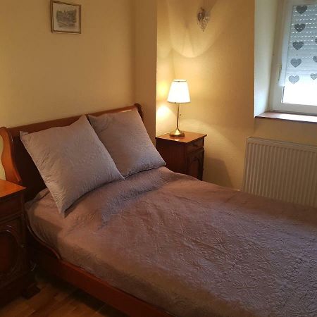 Ganzaliesele Apartment Colmar Bagian luar foto