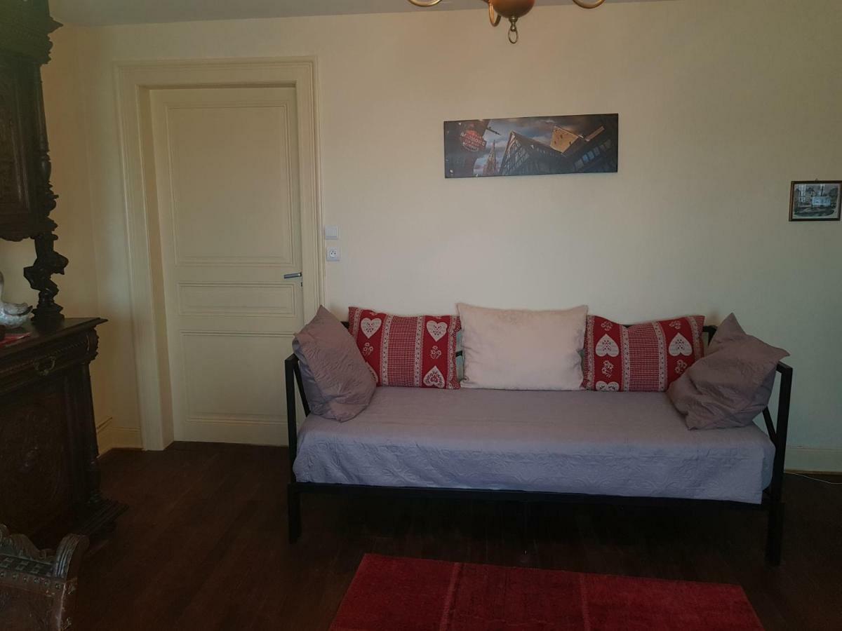 Ganzaliesele Apartment Colmar Bagian luar foto