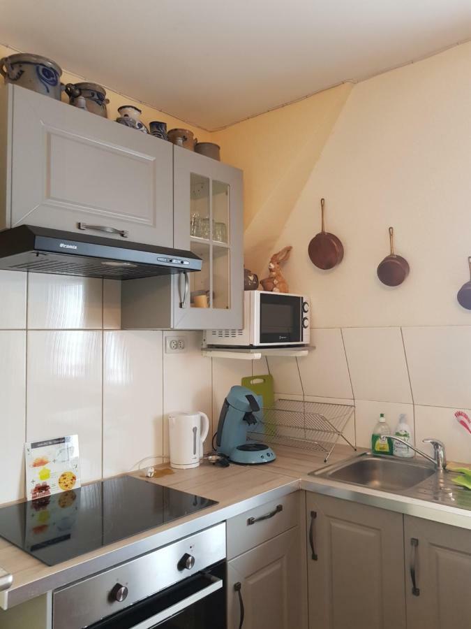 Ganzaliesele Apartment Colmar Bagian luar foto