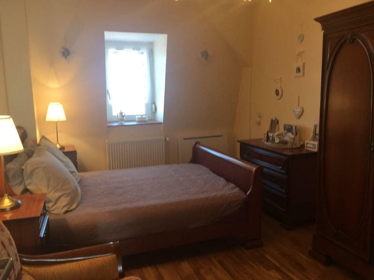 Ganzaliesele Apartment Colmar Bagian luar foto